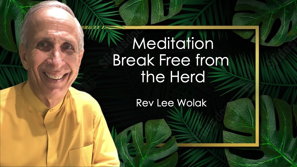 Break Free from the Herd | Guided Meditation to Awaken Your Inner Power