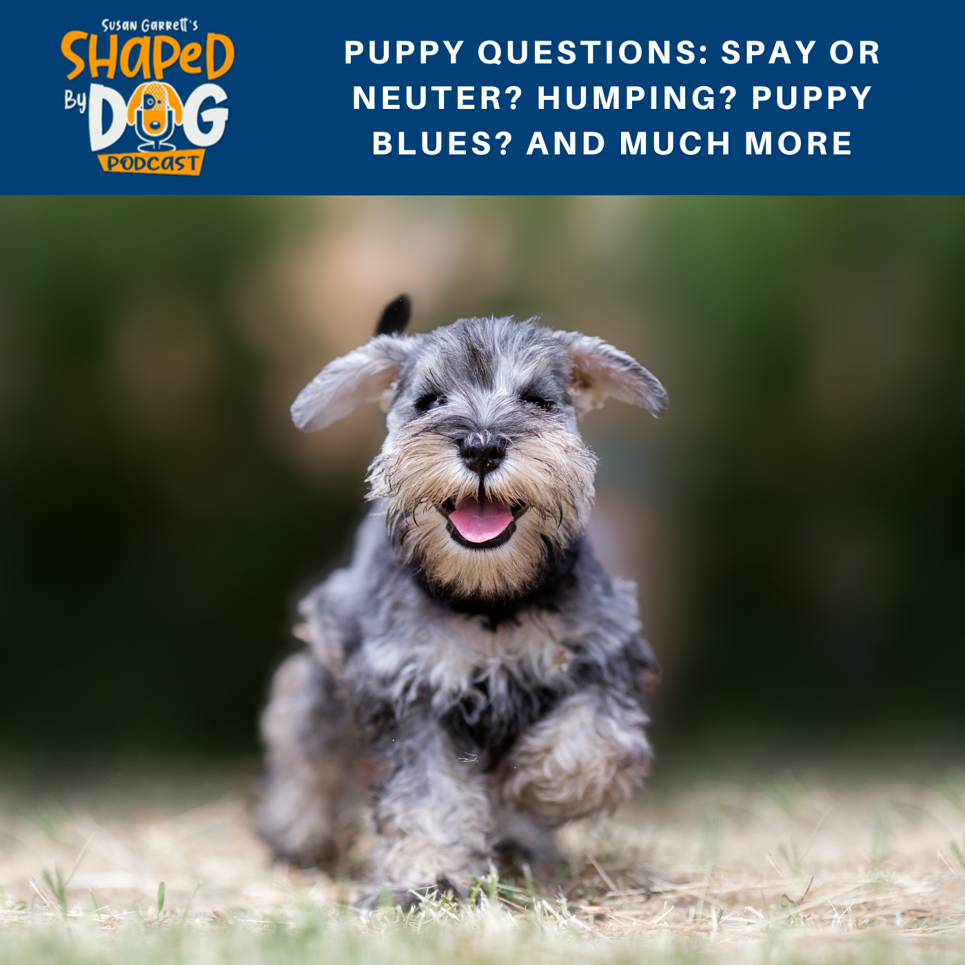 Shaped by Dog with Susan Garrett