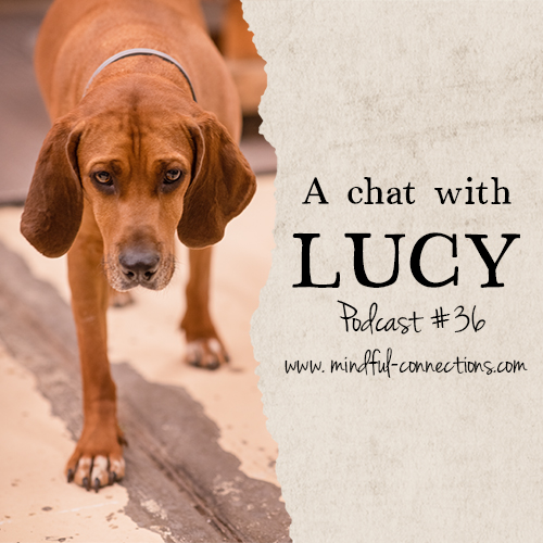 Let\'s Have A Chat!