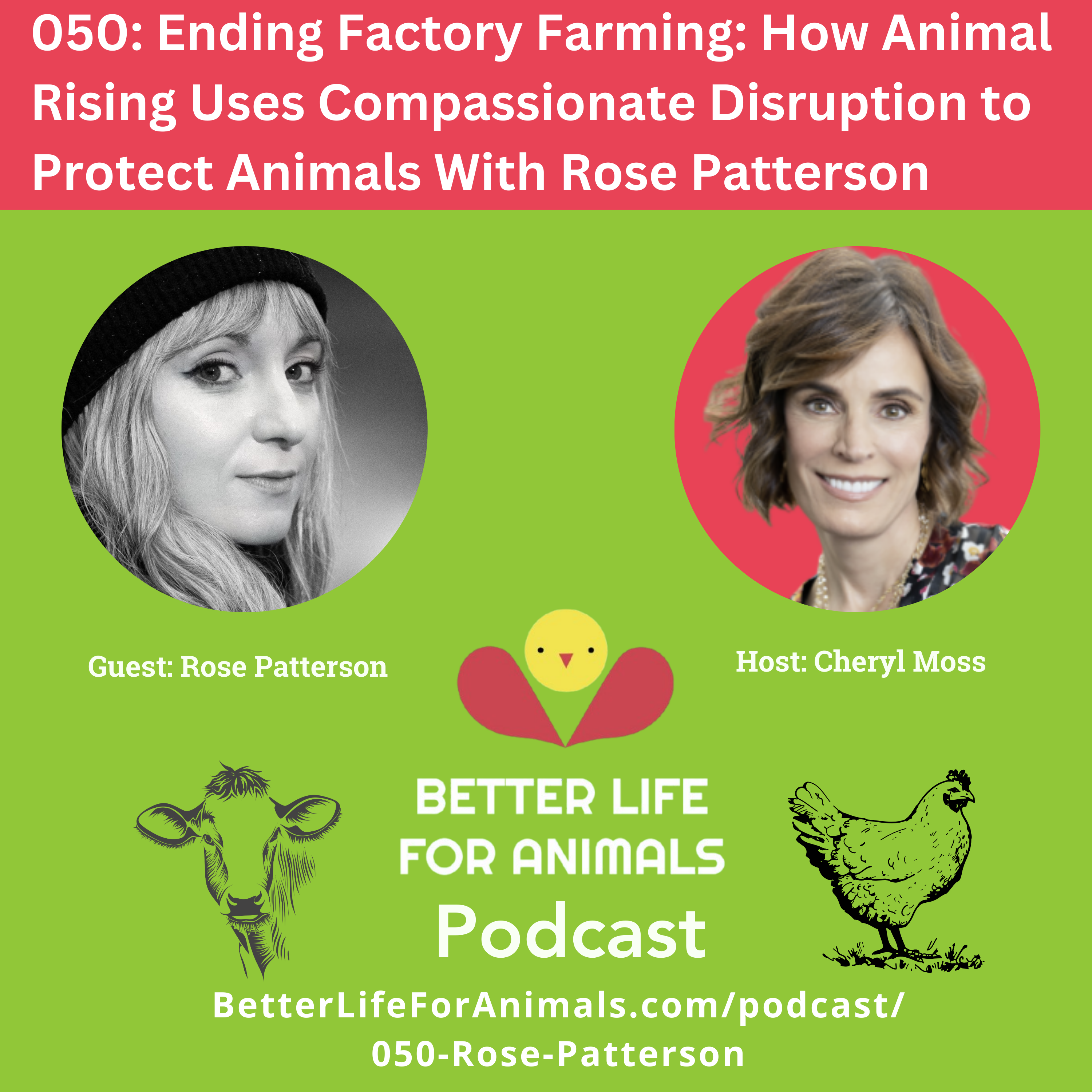 Better Life for Animals