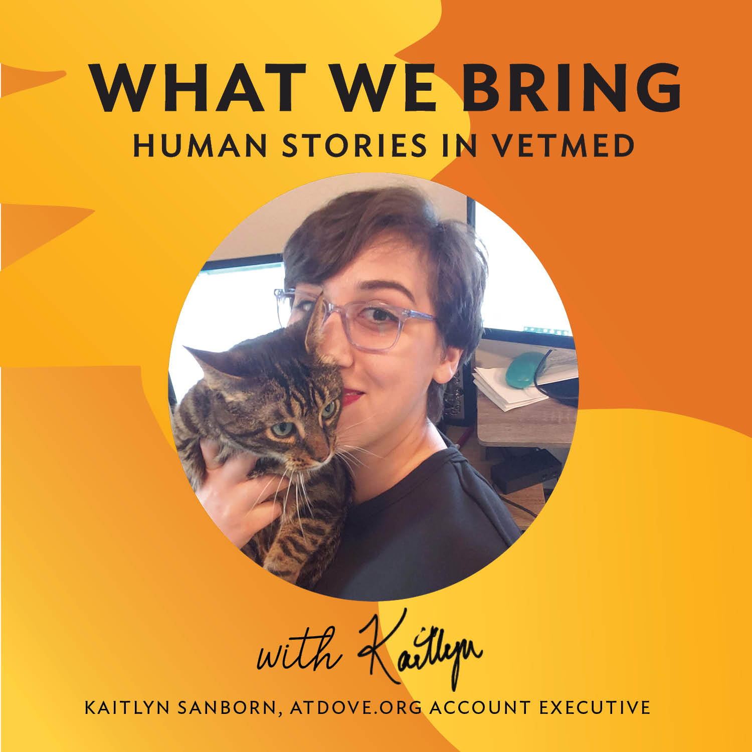 What We Bring