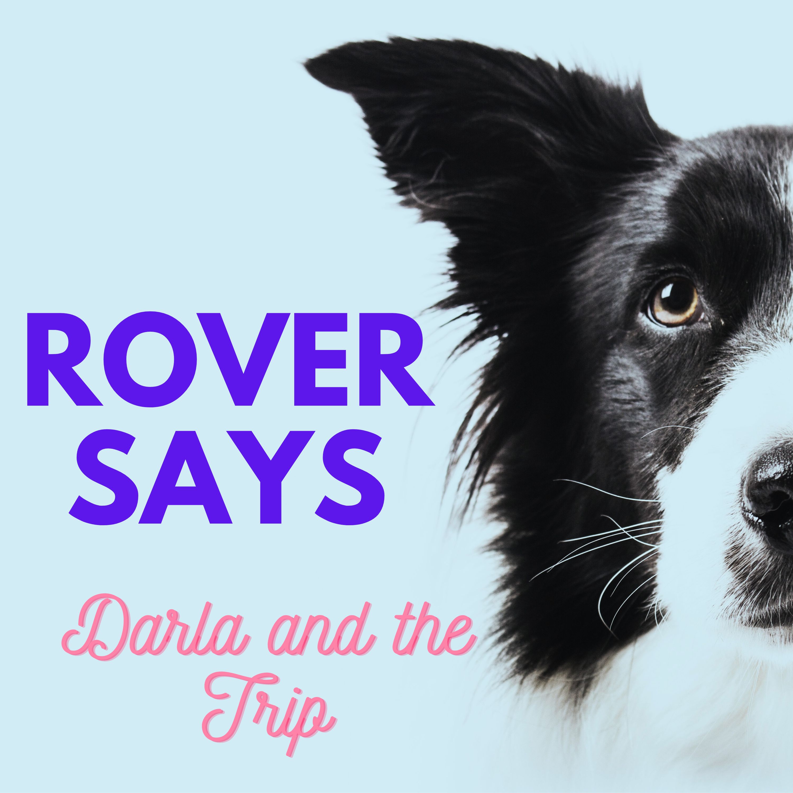 Rover Says