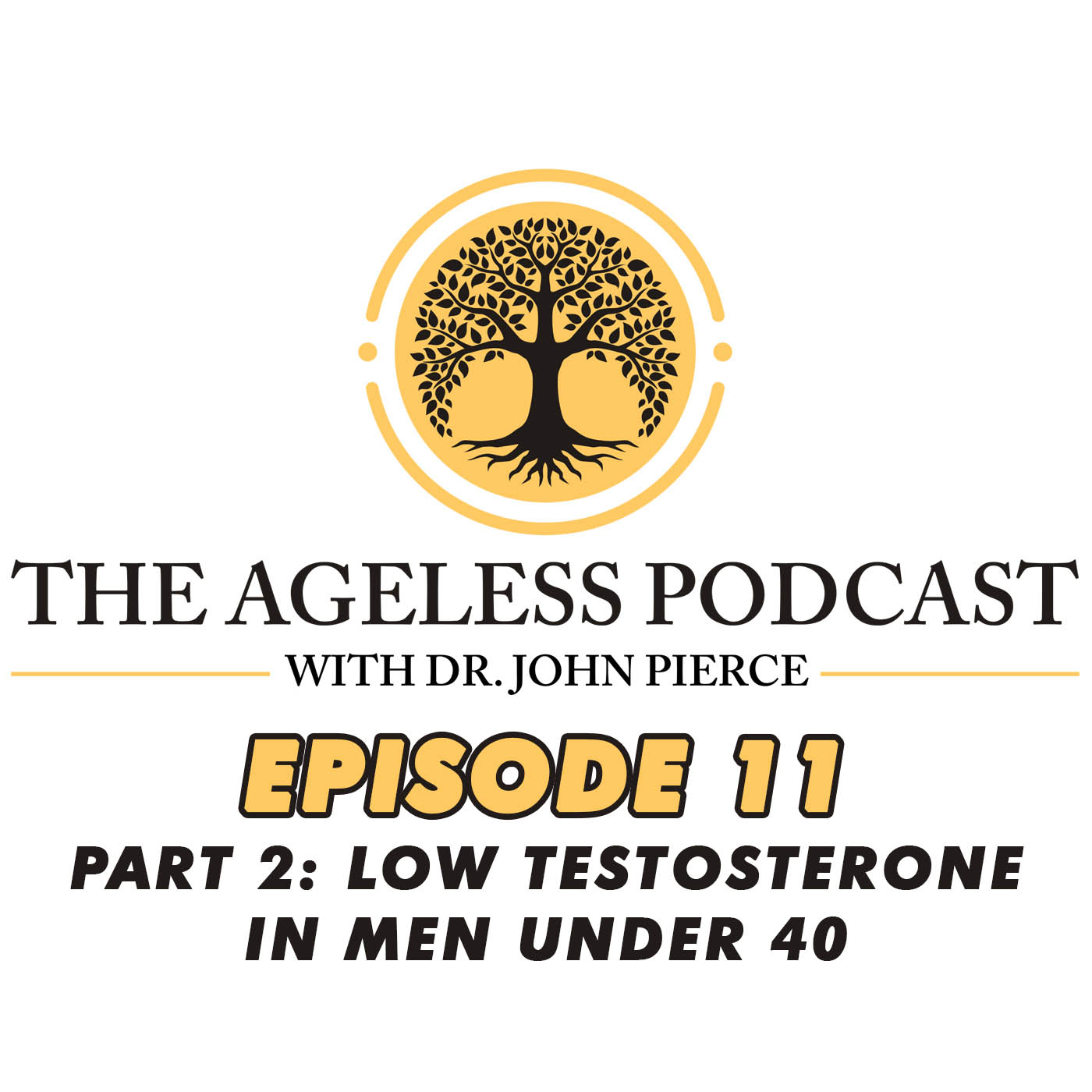 The Ageless Podcast: Episode 11