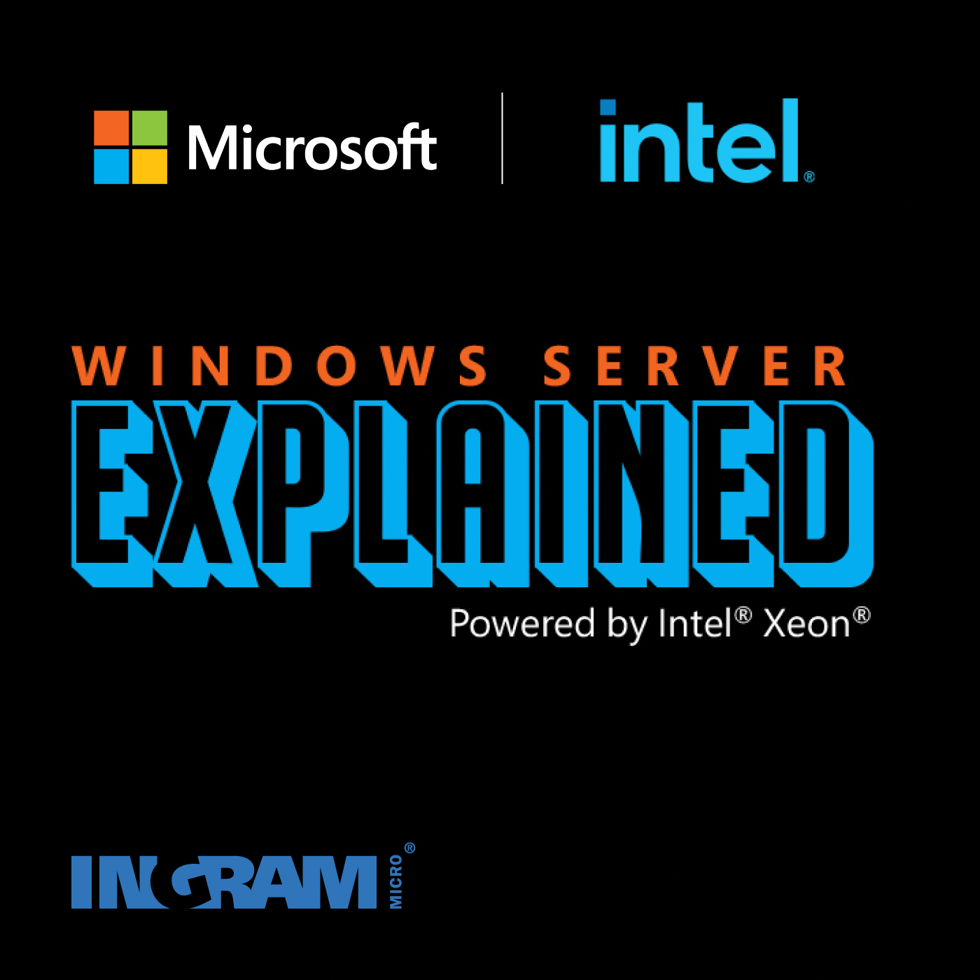 Ingram Micro Business & Technology Solutions