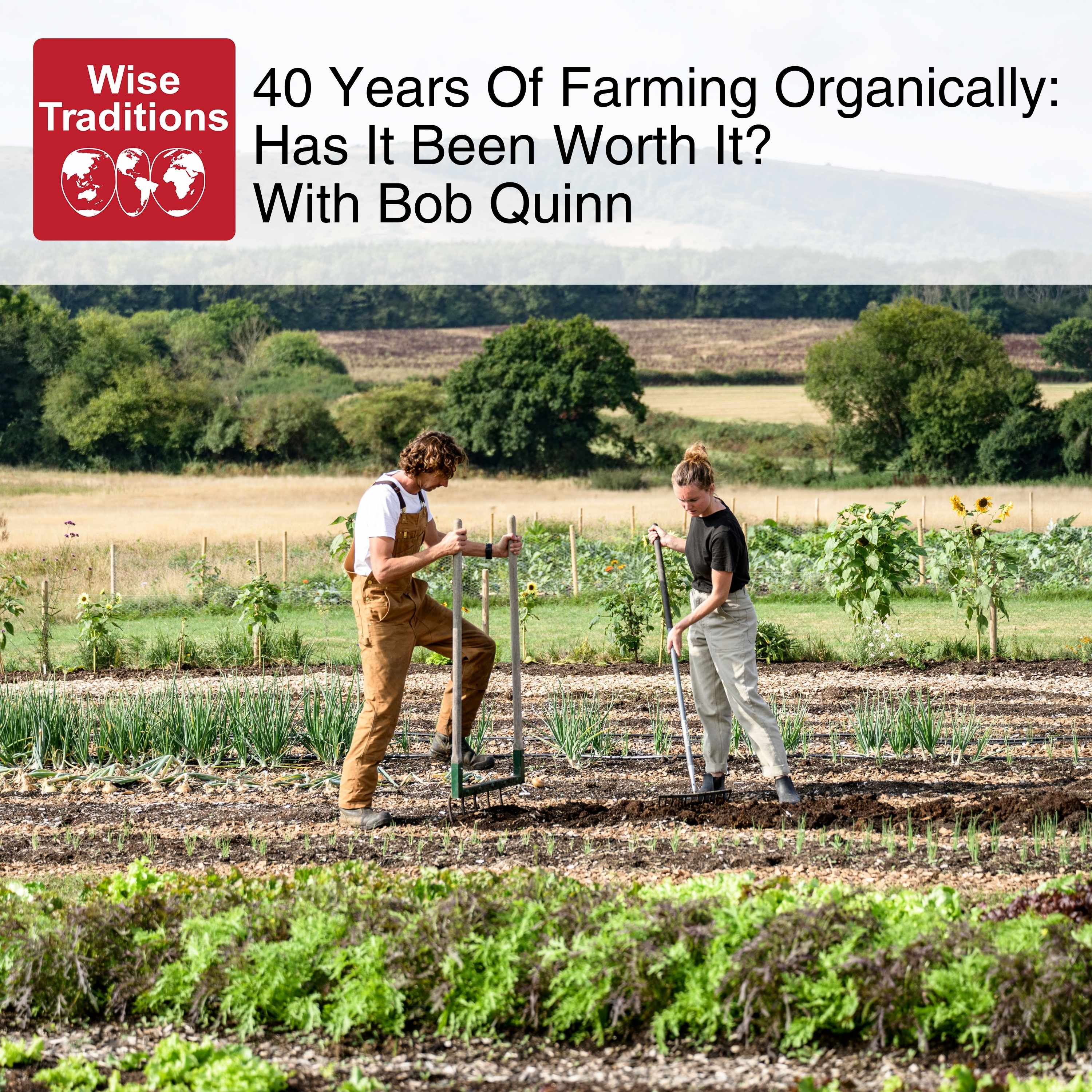 40 Years Of Farming Organically: Has It Been Worth It? With Bob Quinn