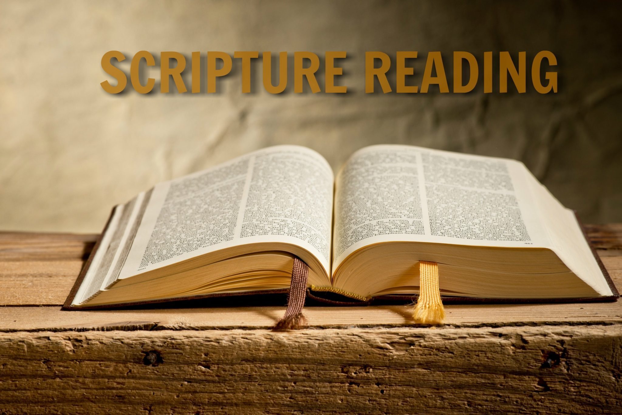 Scripture Readings for Day 78 Exodus 29, Proverbs 5, John 8 and Galatians 4 Scripture Readings for Day 78 Exodus 29, Proverbs 5, John 8 and Galatians 4