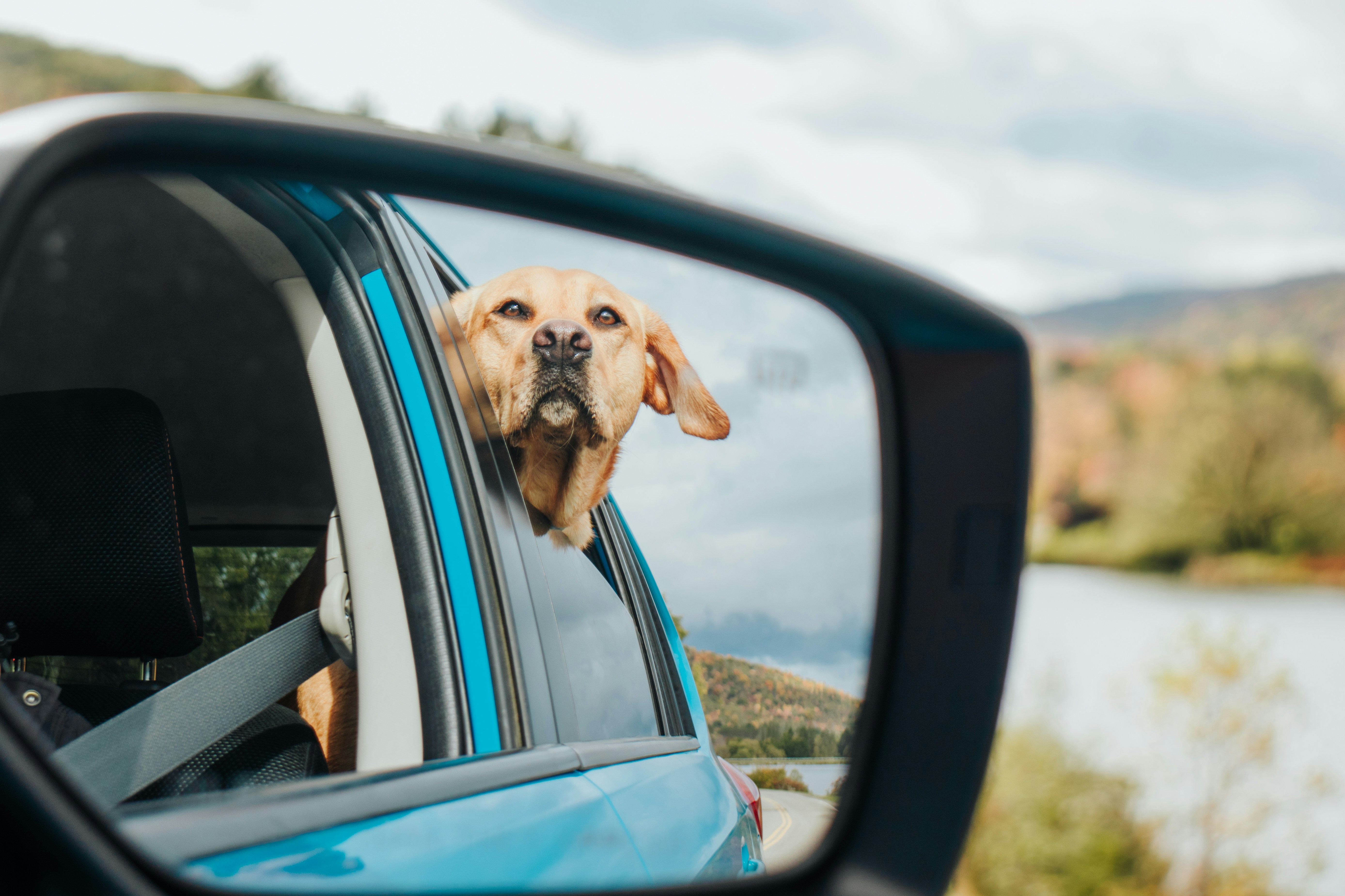 Are We There Yet?