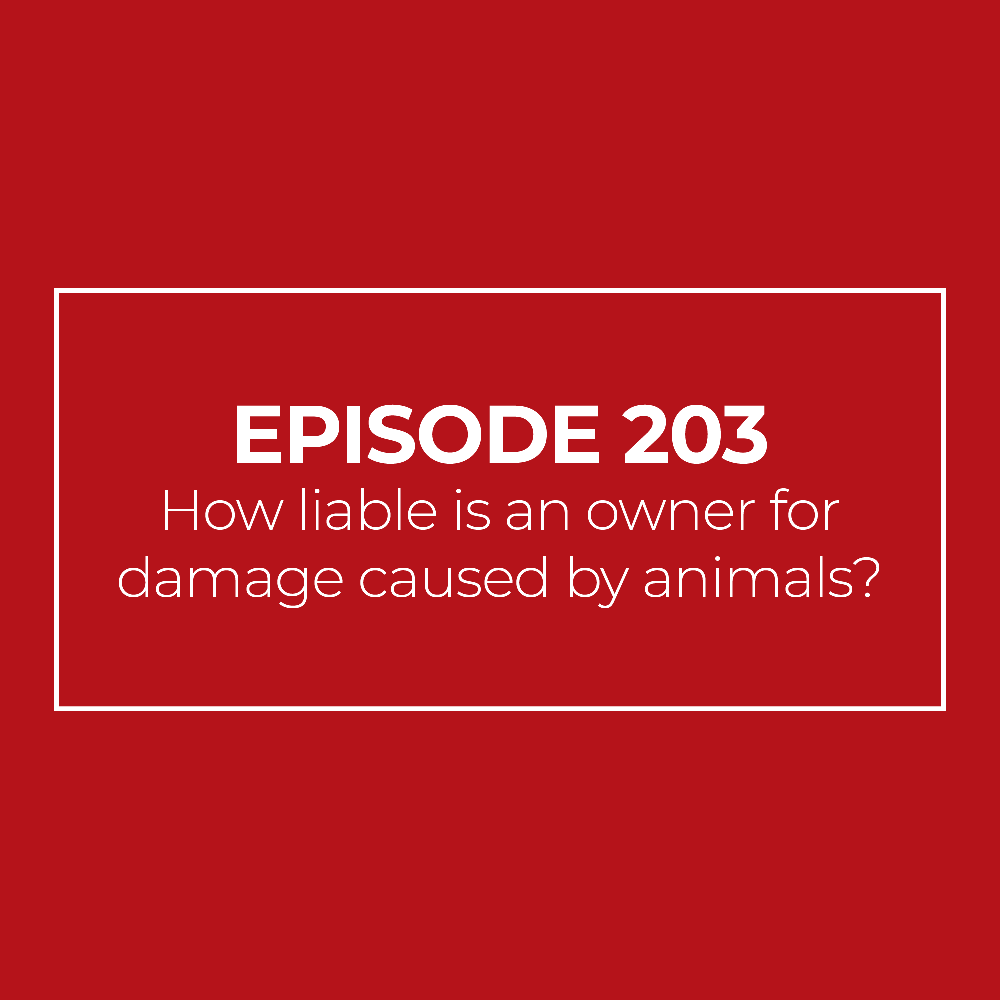 How liable is an owner for damage caused by animals?