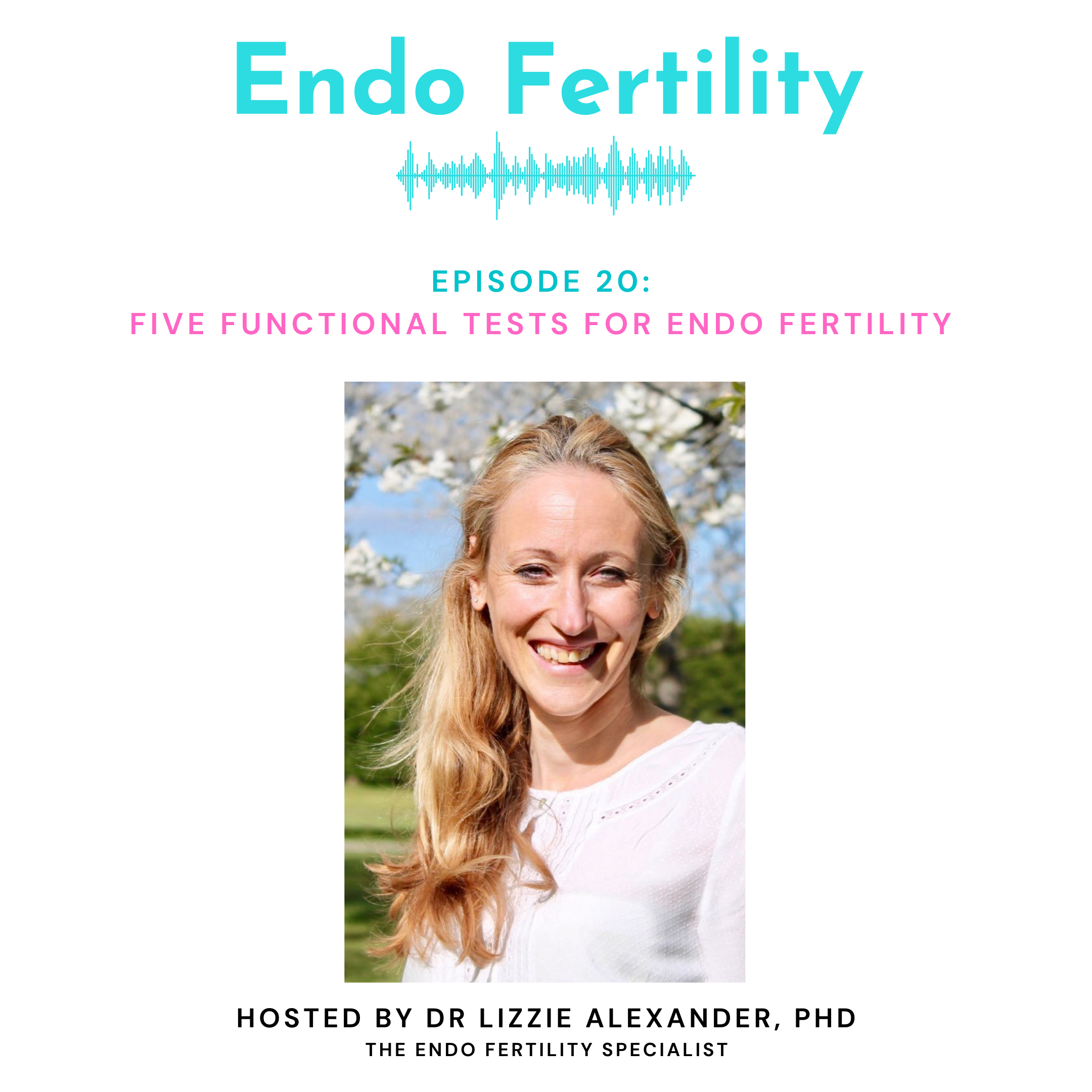 Endo Fertility
