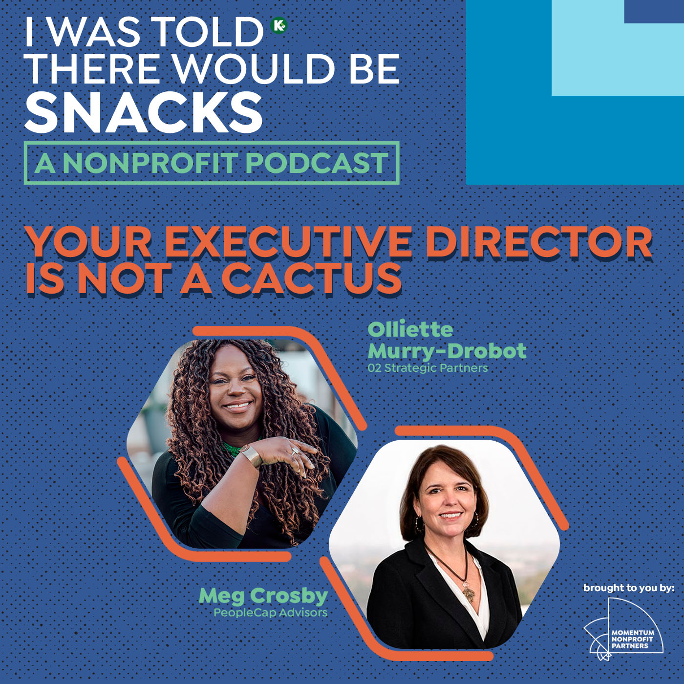 I Was Told There Would Be Snacks: A Nonprofit Podcast
