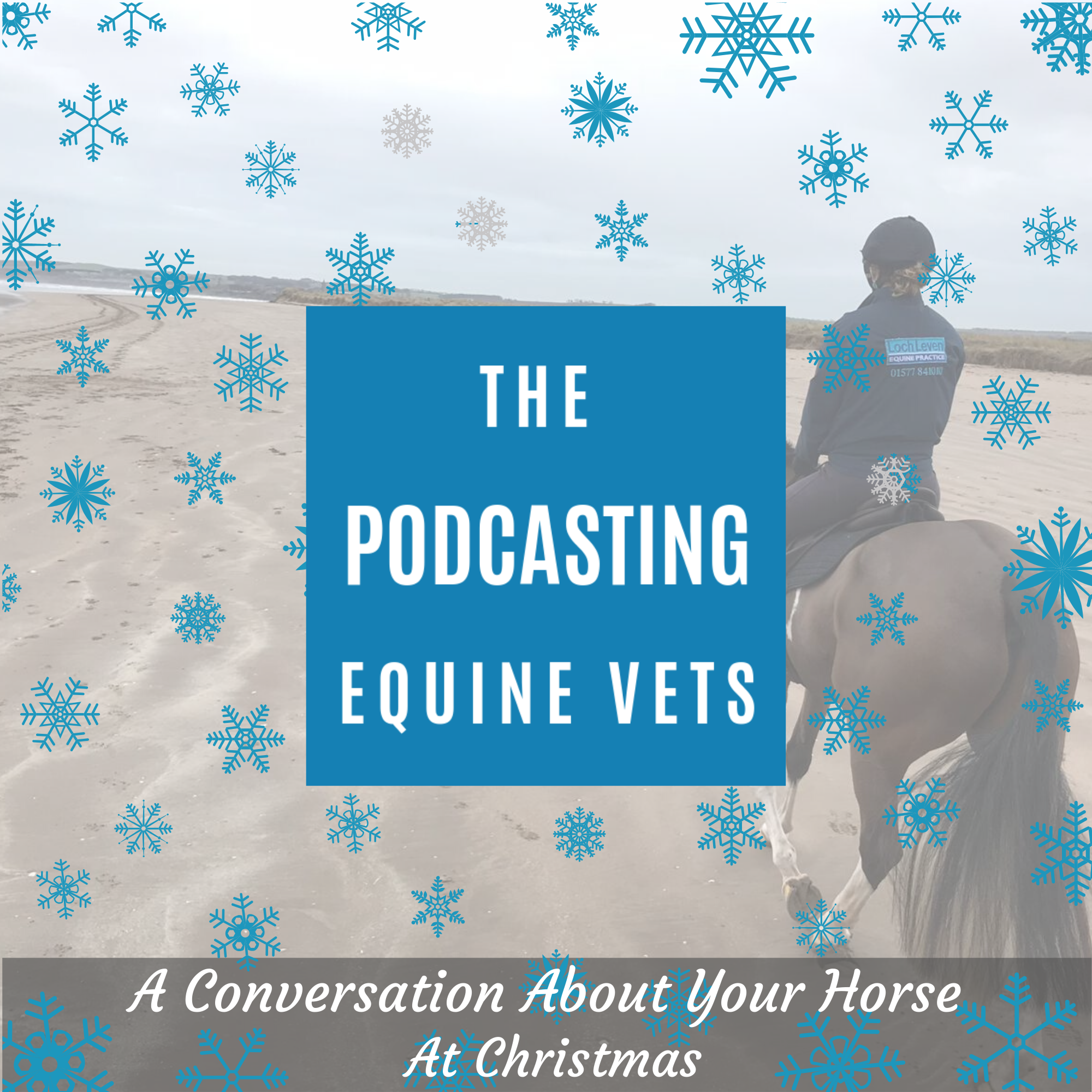 The Podcasting Equine Vets