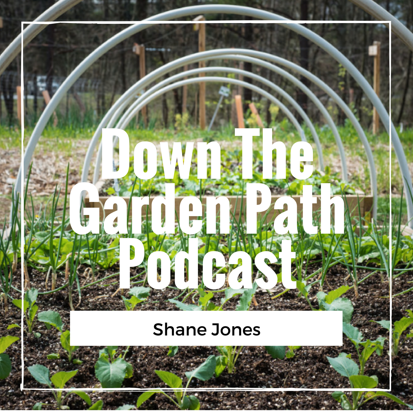 Down The Garden Path Podcast
