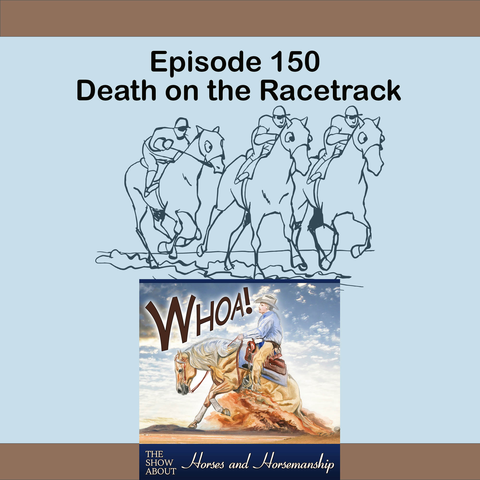 Horse Racing Fatalities - A Candid Conversation with Journalist Natalie Voss