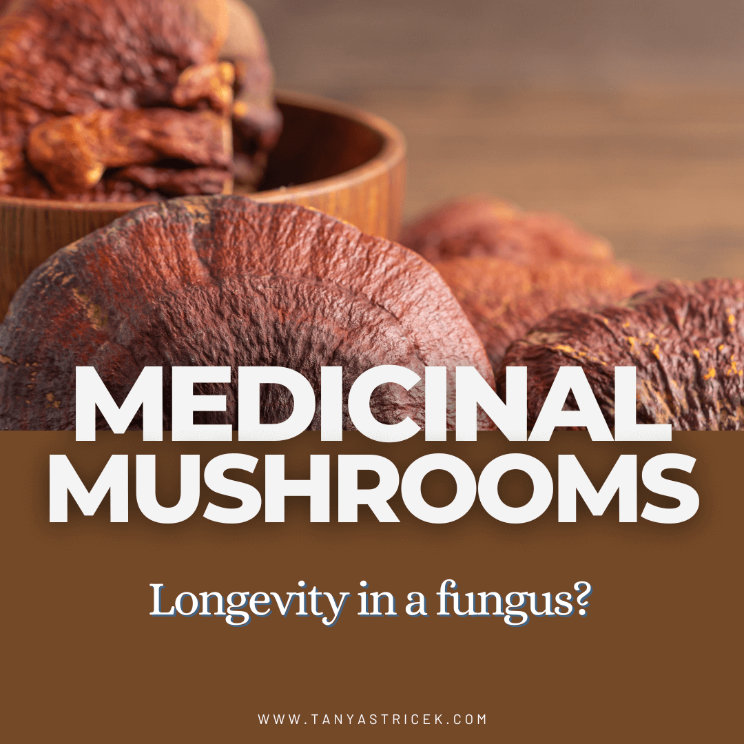 The Fullness Podcast: Menopause Health & Pro Aging the Non Diet Way
