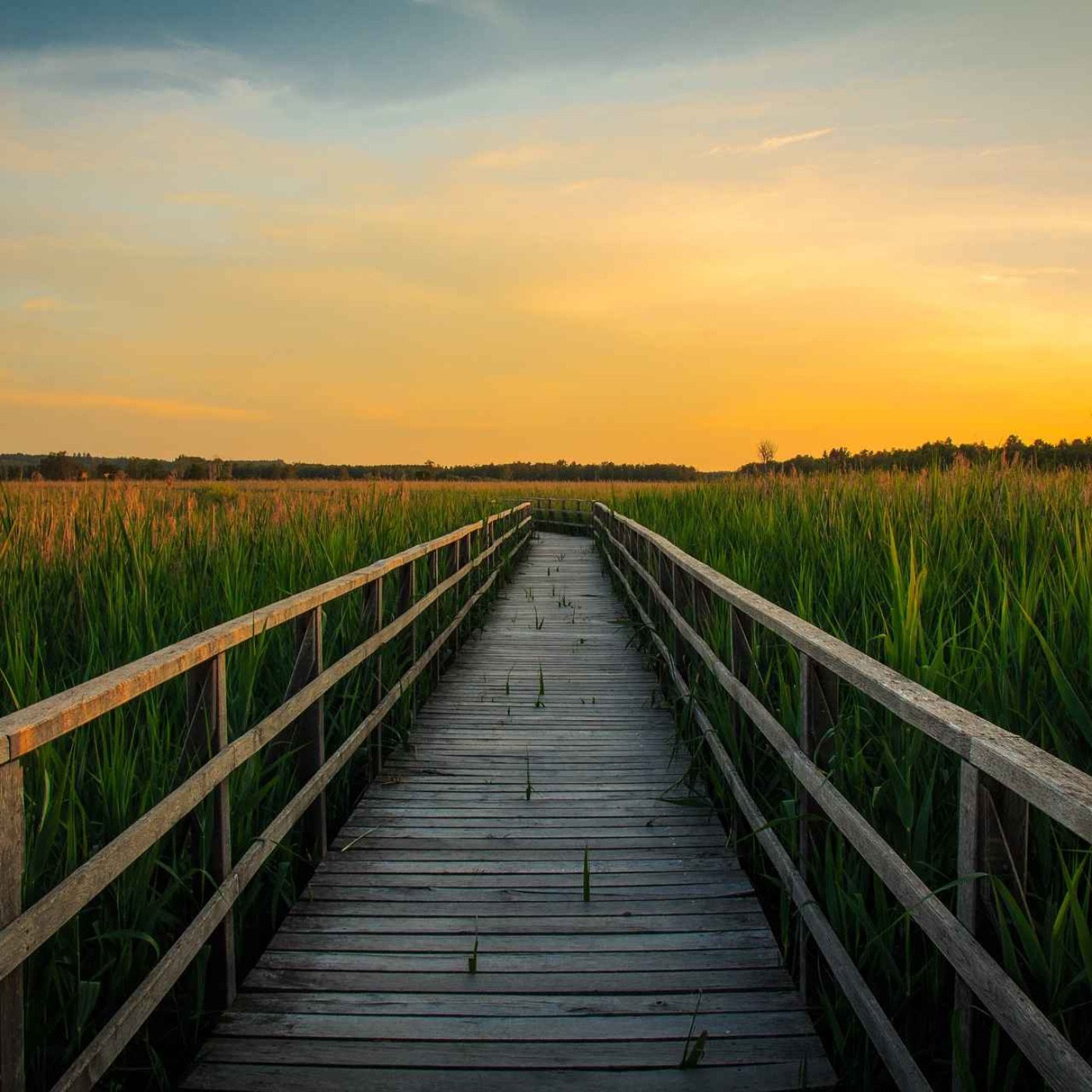 Try listening In 5 Minutes ★︎ Fall Asleep Quickly ★︎ Deep Sleep, Melatonin Release