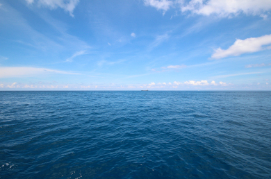 A World Covered in Water