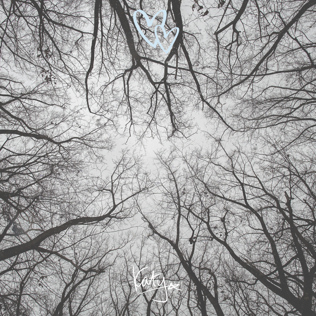 Why I'm Branching Away From Fertility and How I Can Still Help You