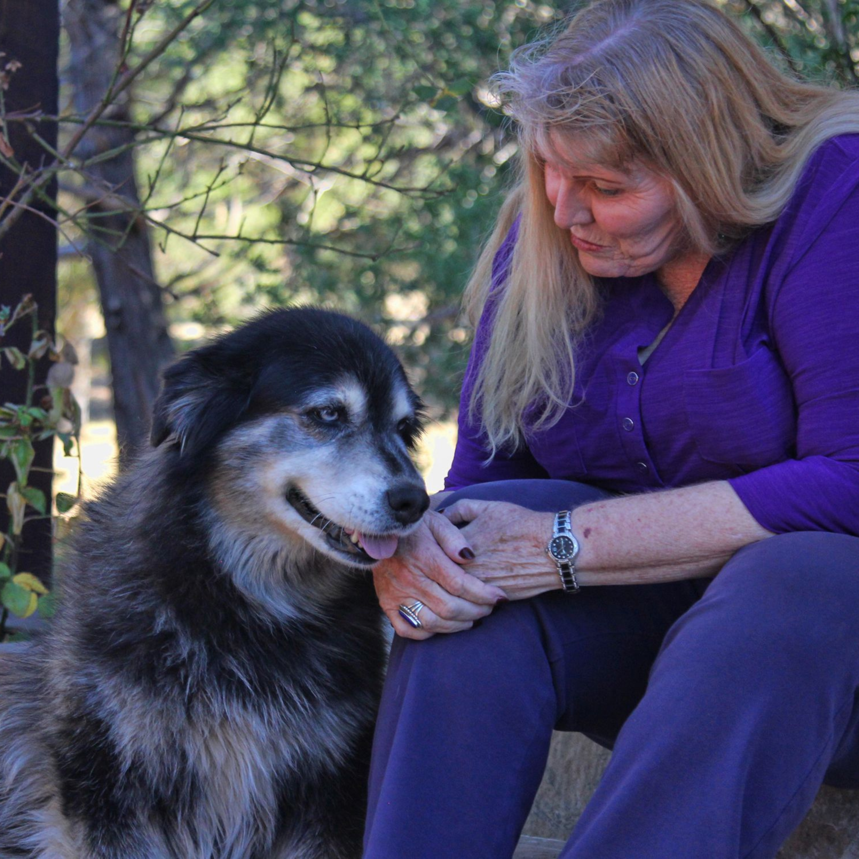 The Animal Whisperer with Suzan Vaughn: Animal Communication Stories