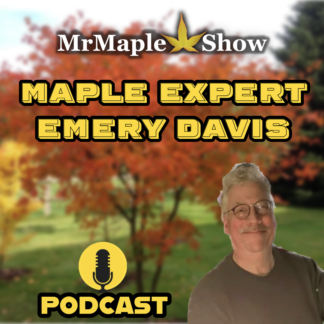 MrMaple Show