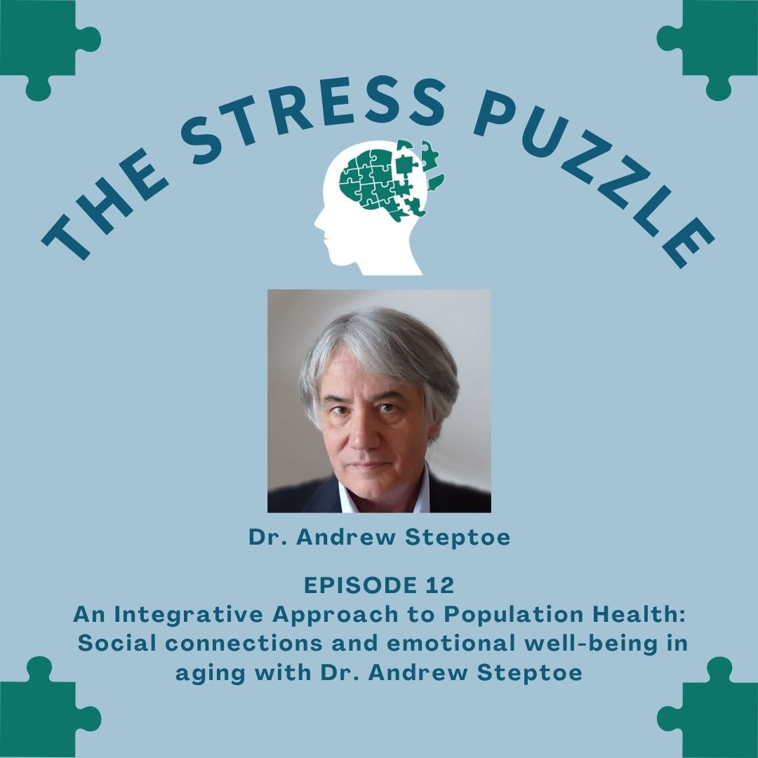 The Stress Puzzle