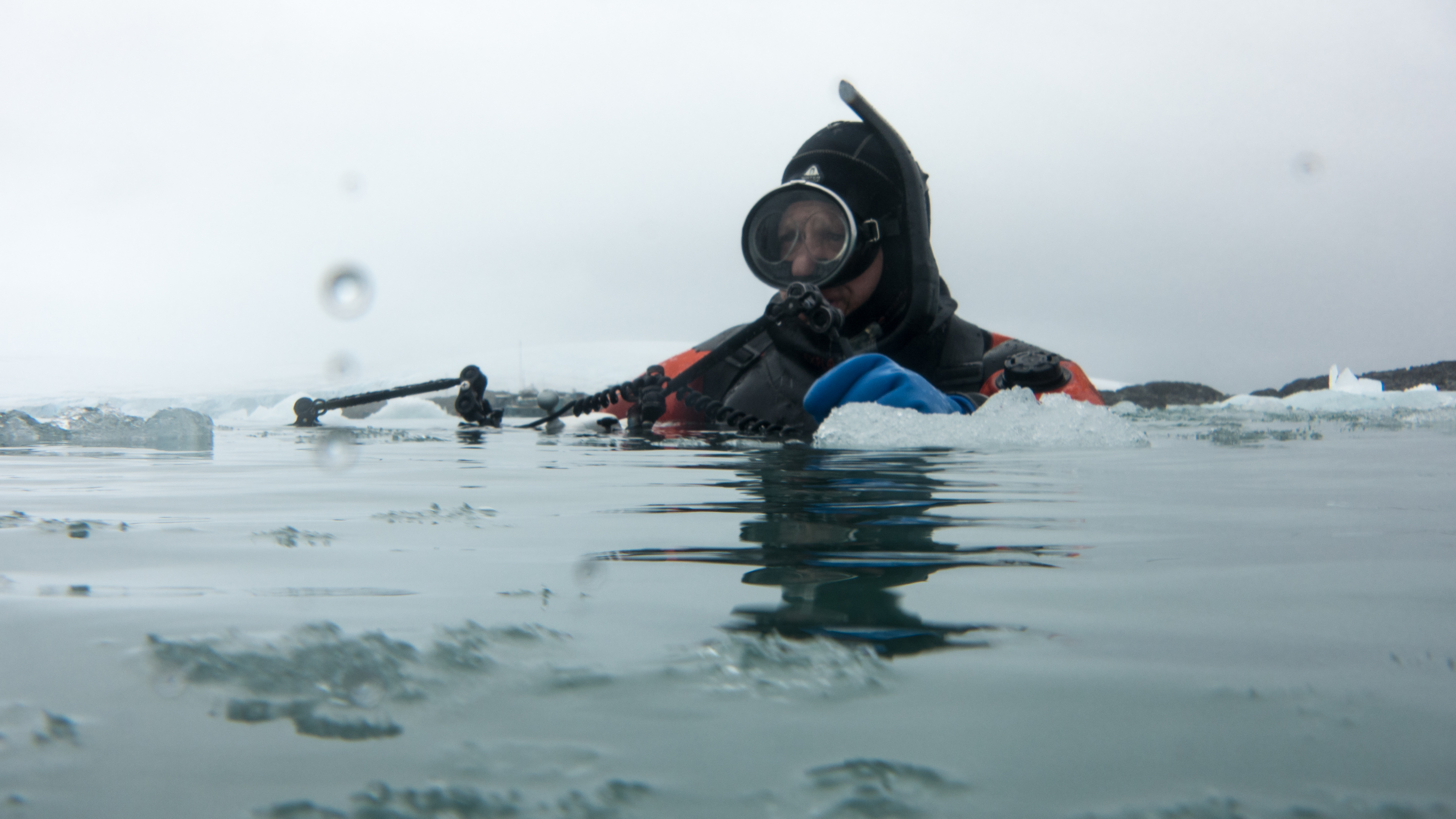 National Geographic Photographers David Doubilet & Jennifer Hayes