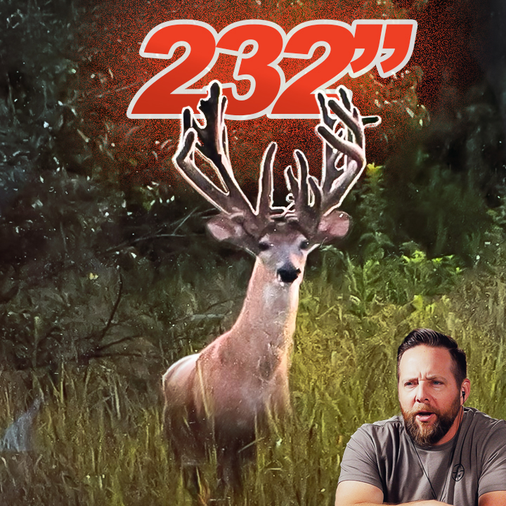 232 7/8" On Public Land! | 100% Wild Podcast Ep.401