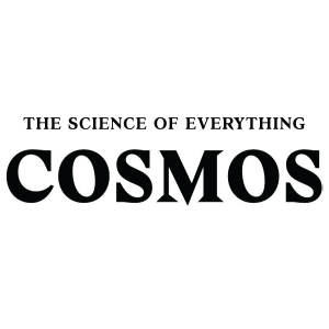 COSMOS_18022026 COSMOS_18022026