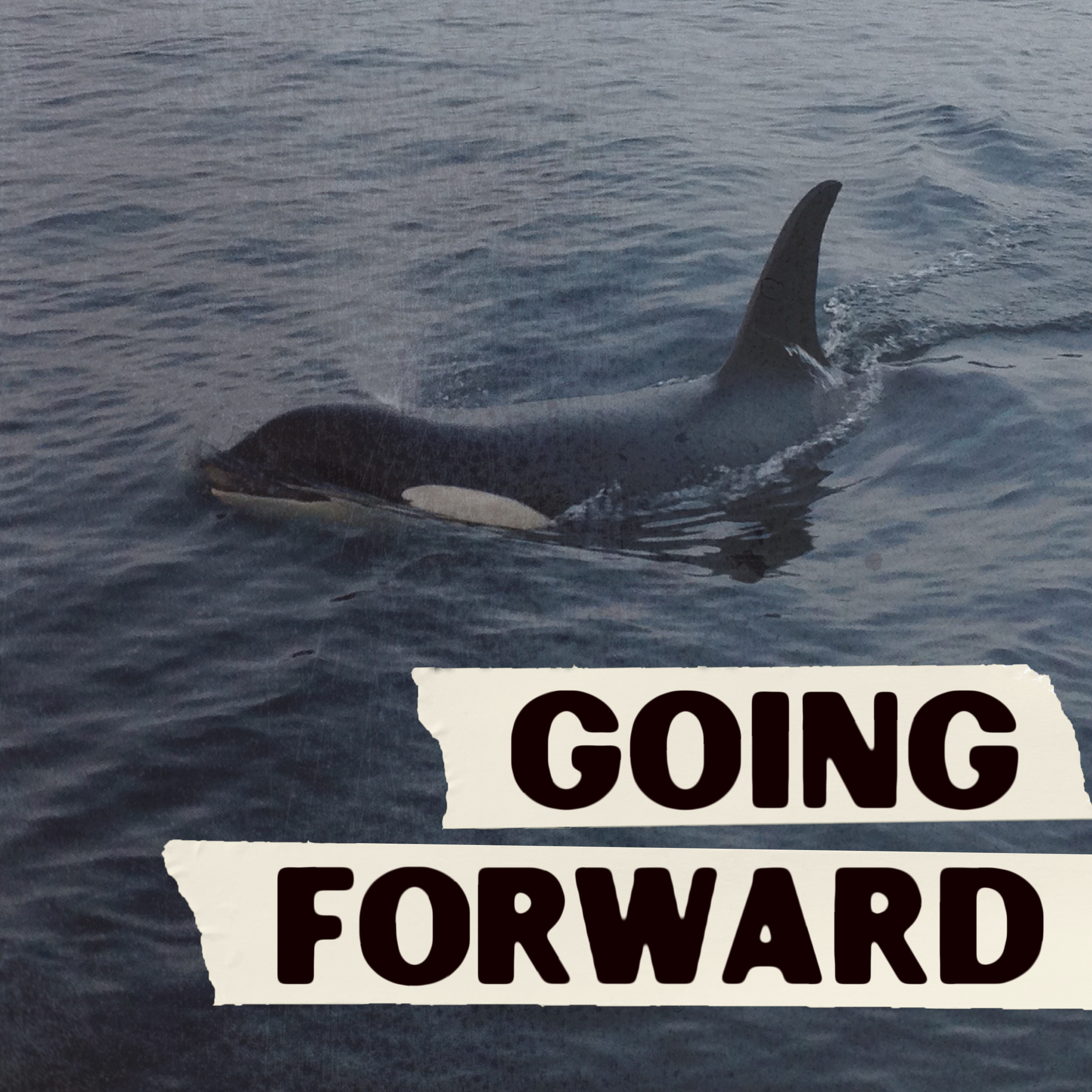 Going Forward