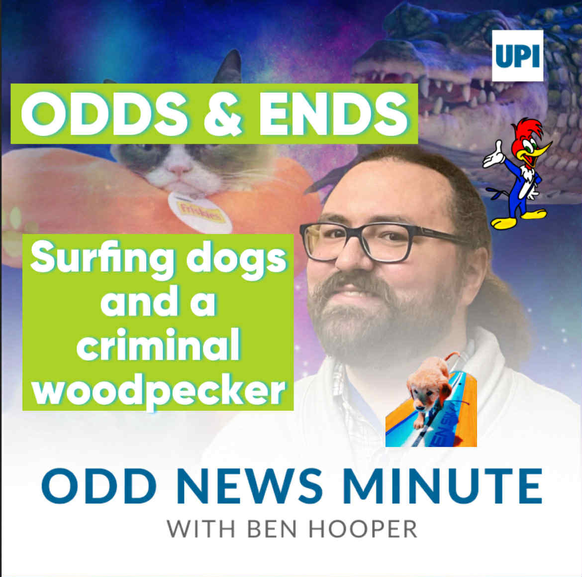 Odds and Ends: Surfing dogs, woodpecker vandal