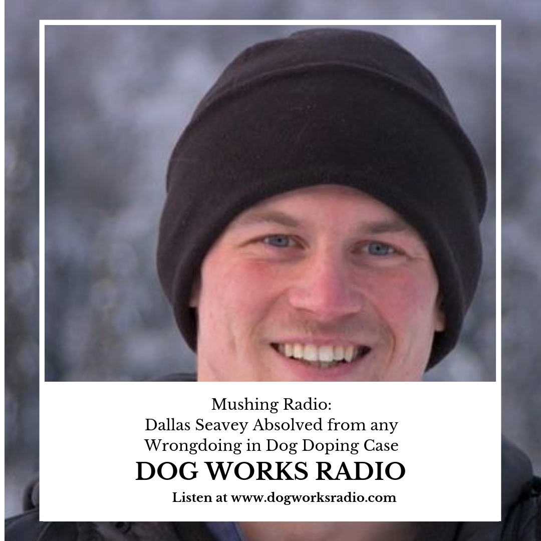 Mushing Radio: BONUS: Dallas Seavey Absolved of Any Wrongdoing in Dog Doping Case