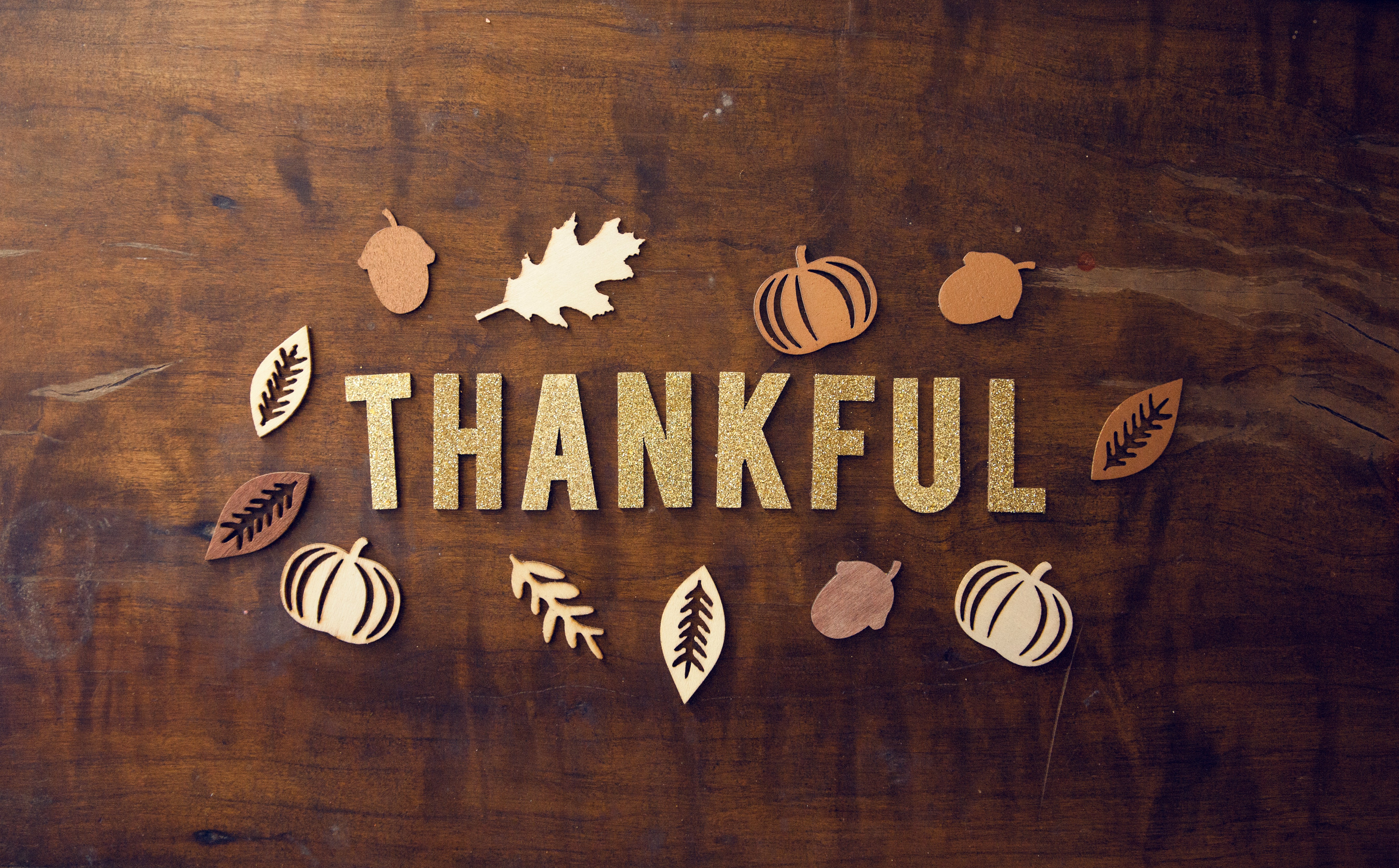 Happy Thanksgiving!