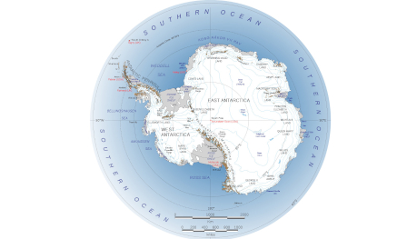 The Forests of Antarctica
