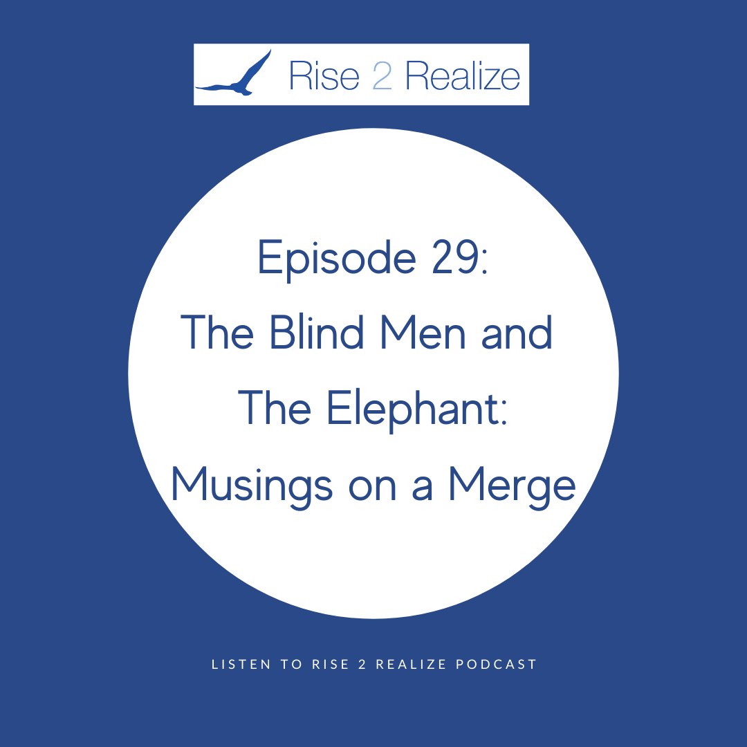 29 The Blind Men and The Elephant: Musings on a Merge episode artwork
