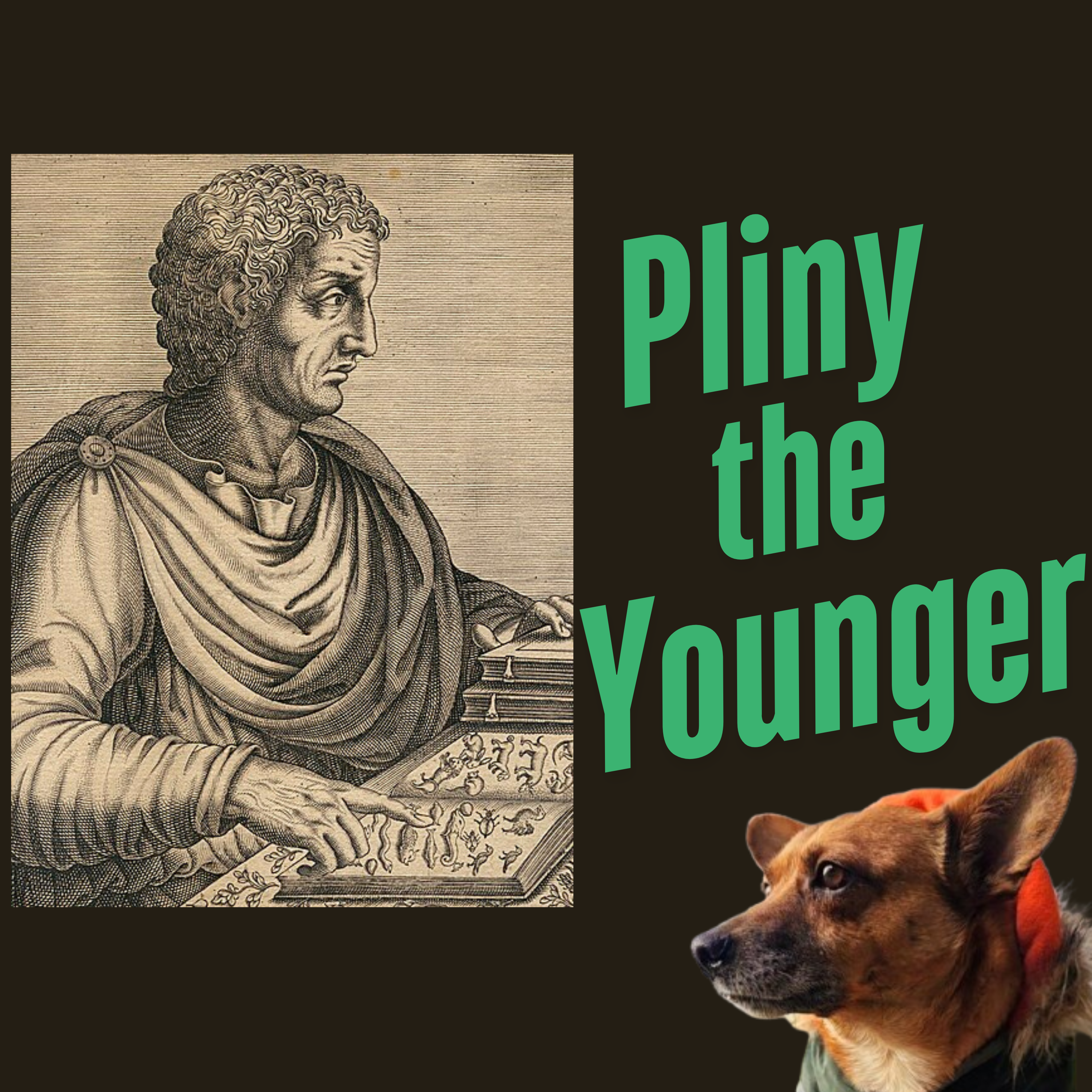 Ancient History Hound