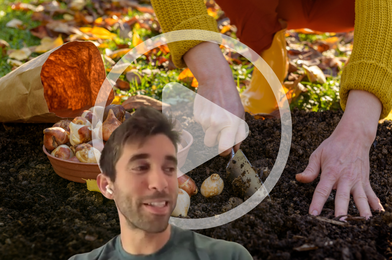 Gardening in the Fall with Farmer Nick