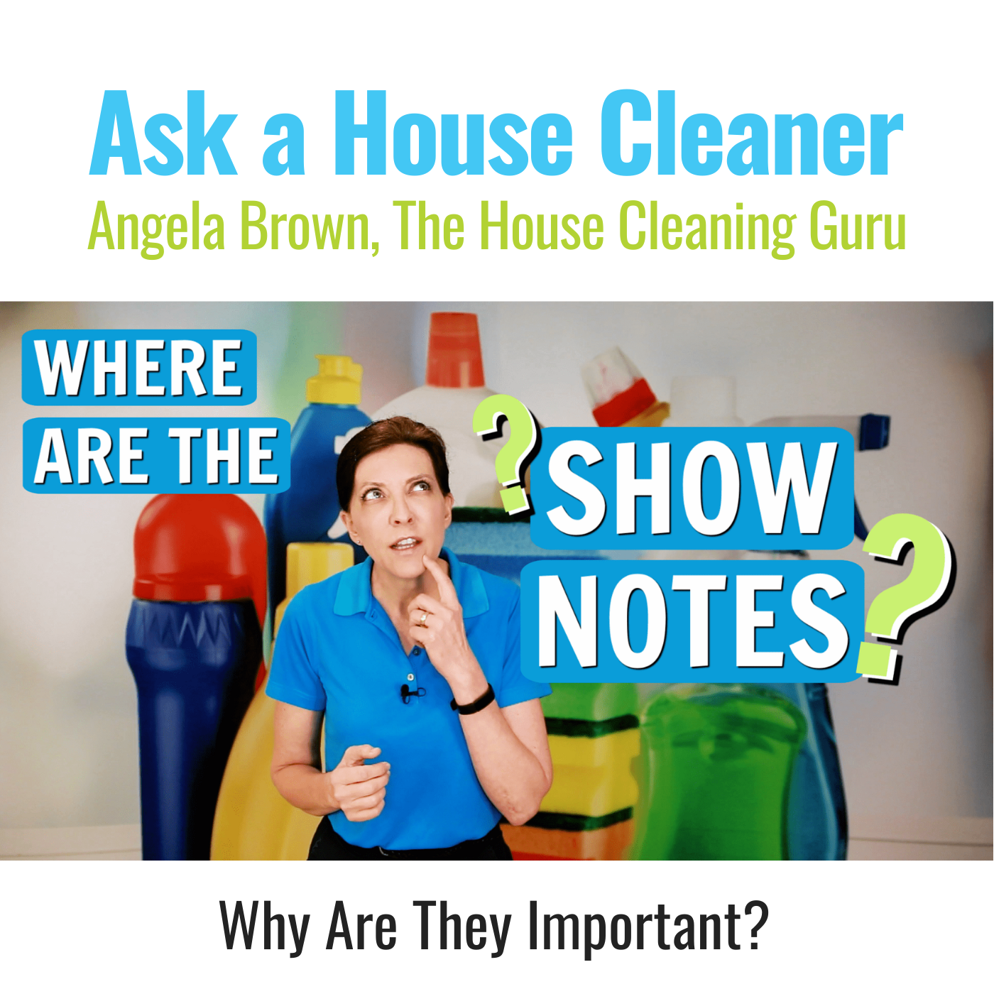 Ask a House Cleaner