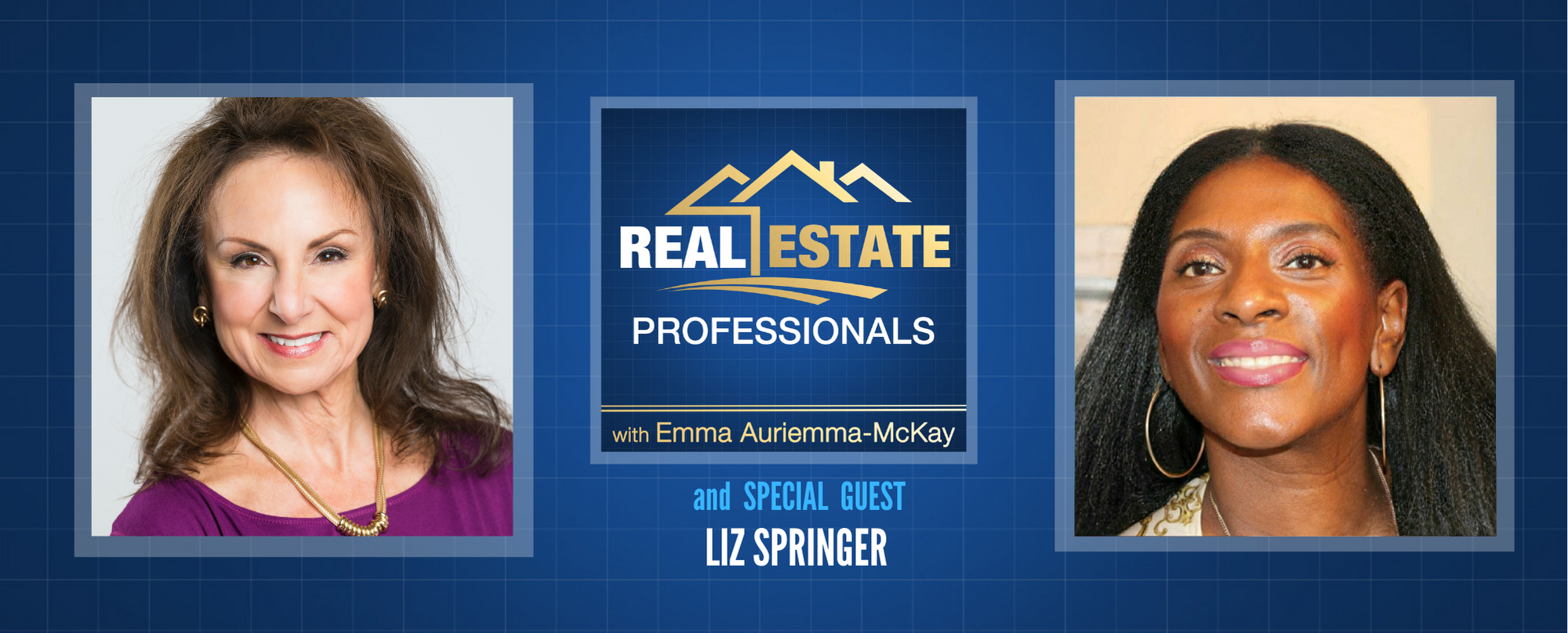 Real Estate Professionals - Property Sales Tactics for Realtors