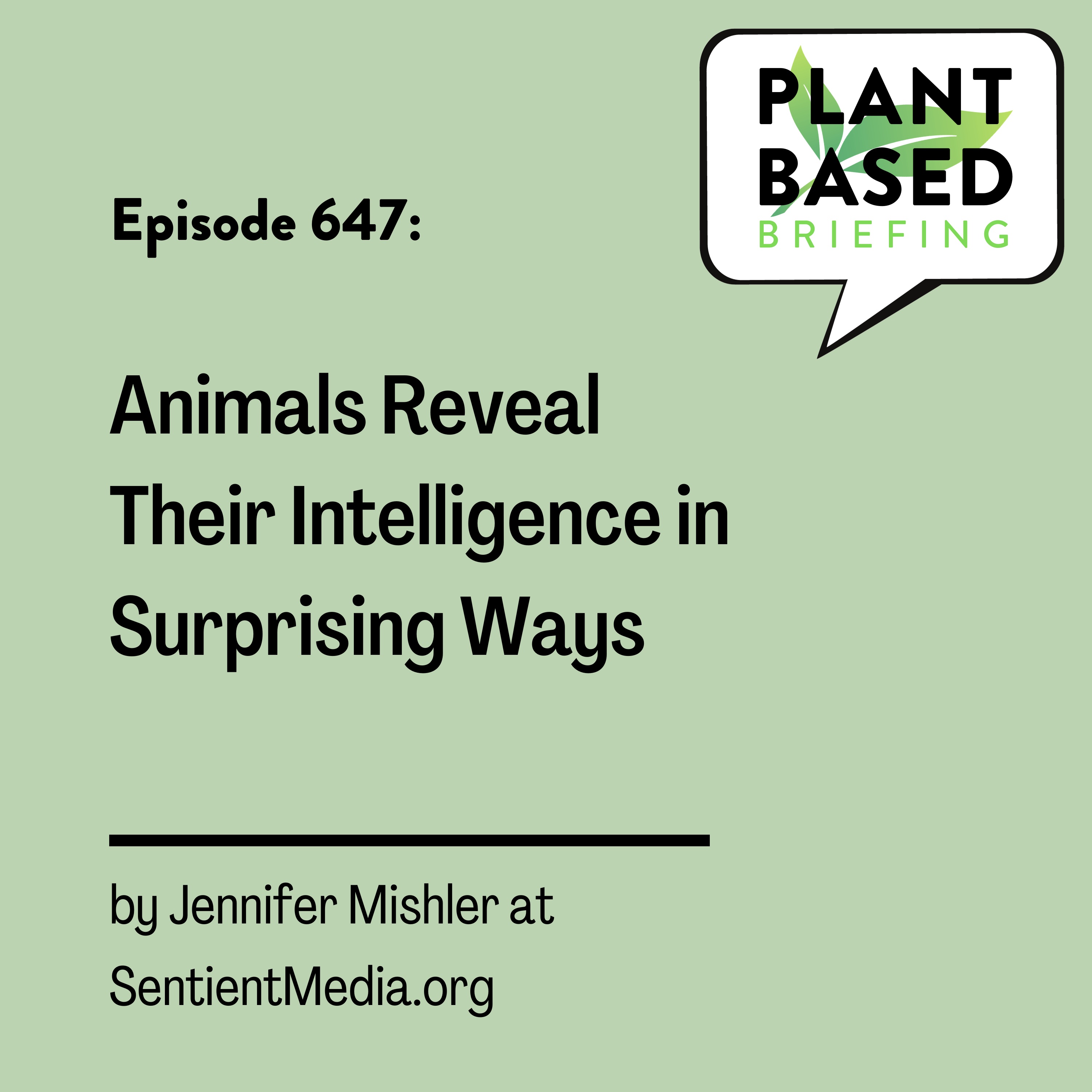 Plant Based Briefing