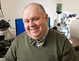 Can We Succeed In Making Cancer Non-Deadly Using Something That Already Exists In Our Bodies?