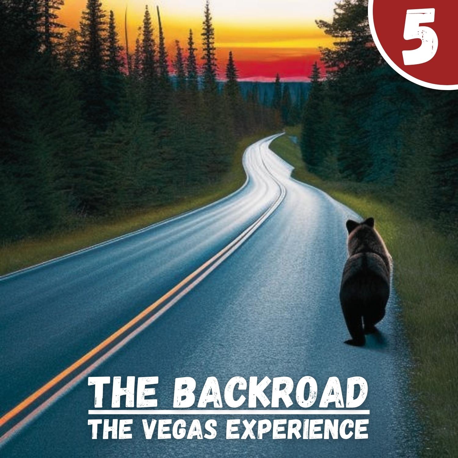 The Vegas Experience