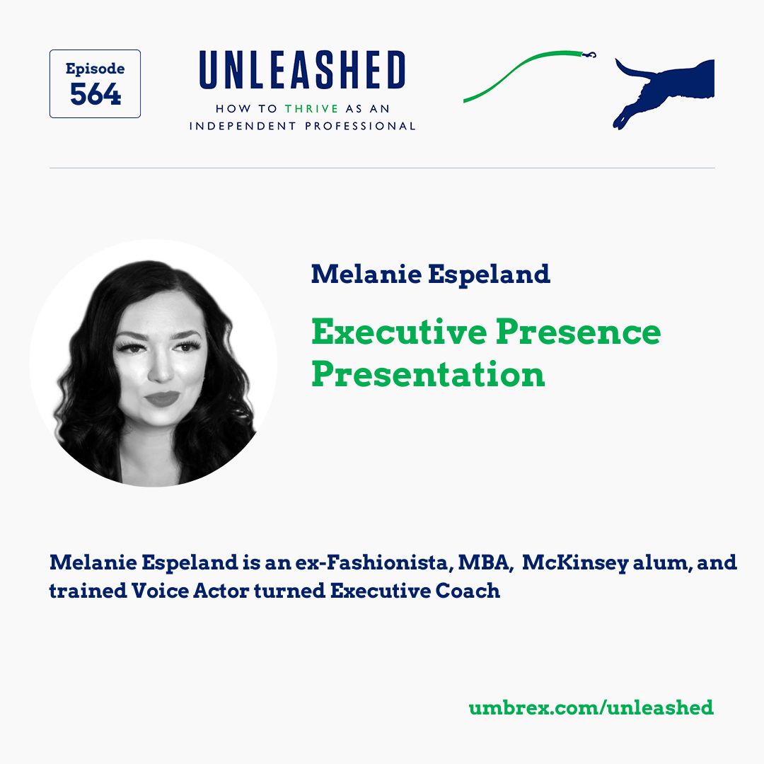 Unleashed - How to Thrive as an Independent Professional