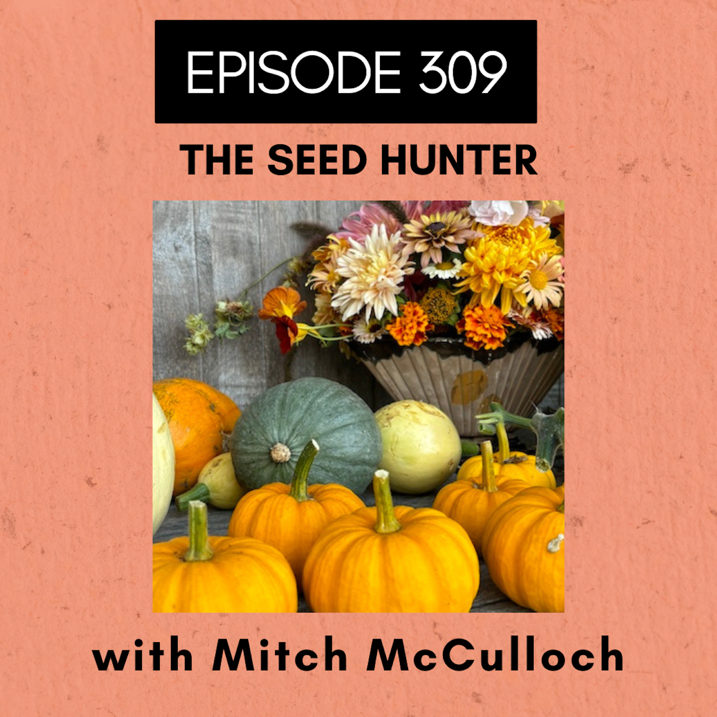 Roots and All - Gardening Podcast