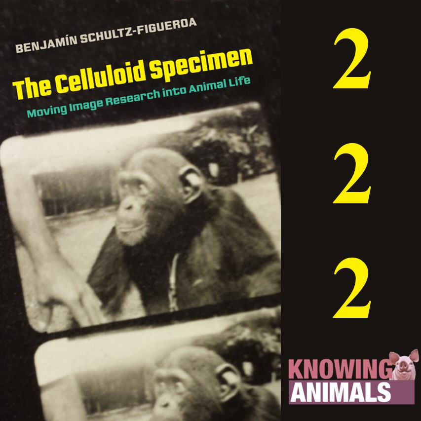 Episode 222: Celluloid specimens with Benjamín Schultz-Figueroa