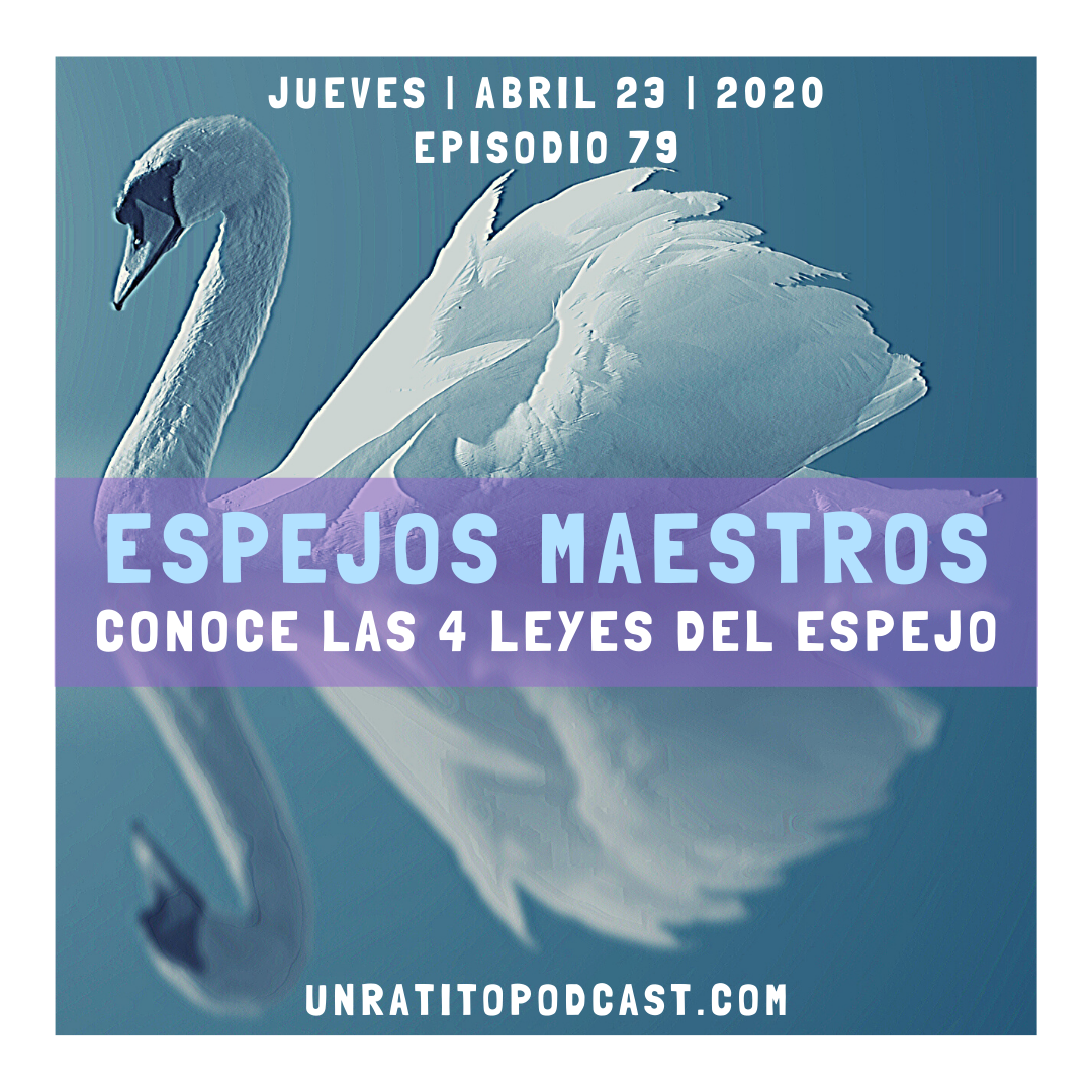 Proyecto METTA