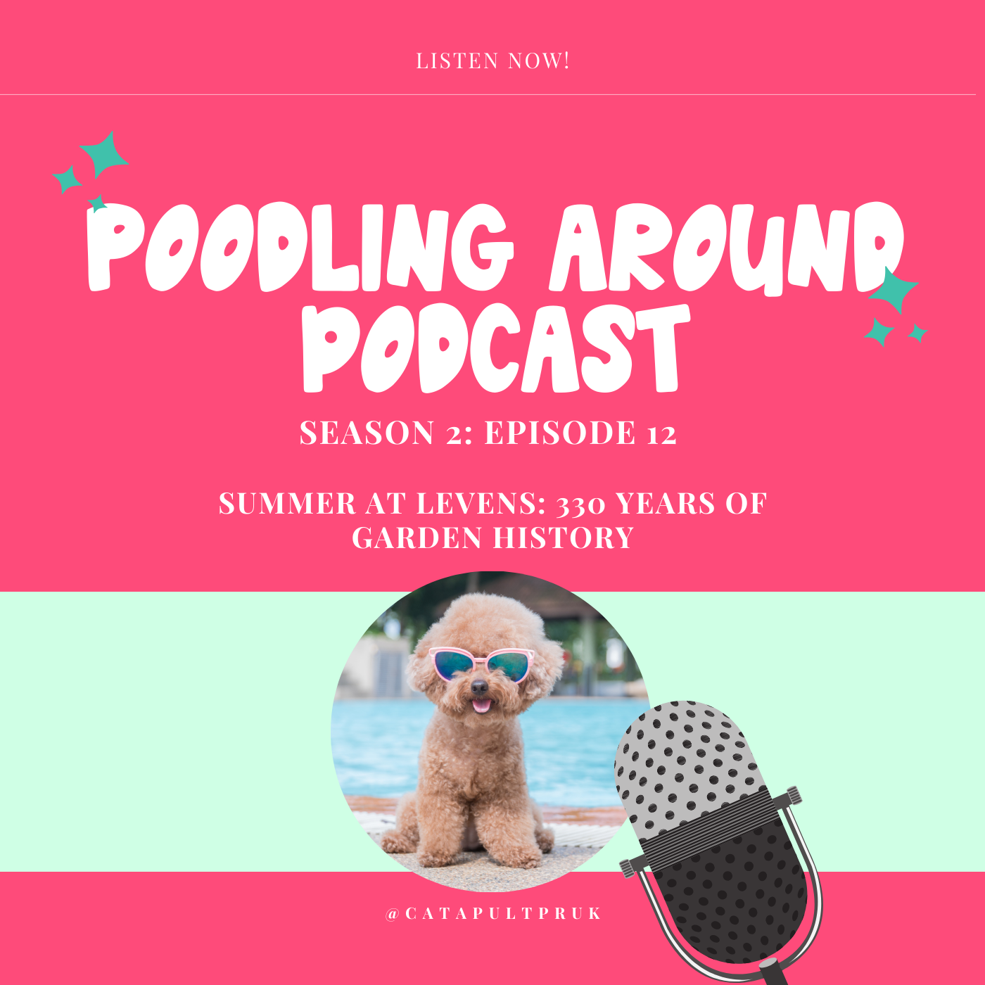Poodling Around
