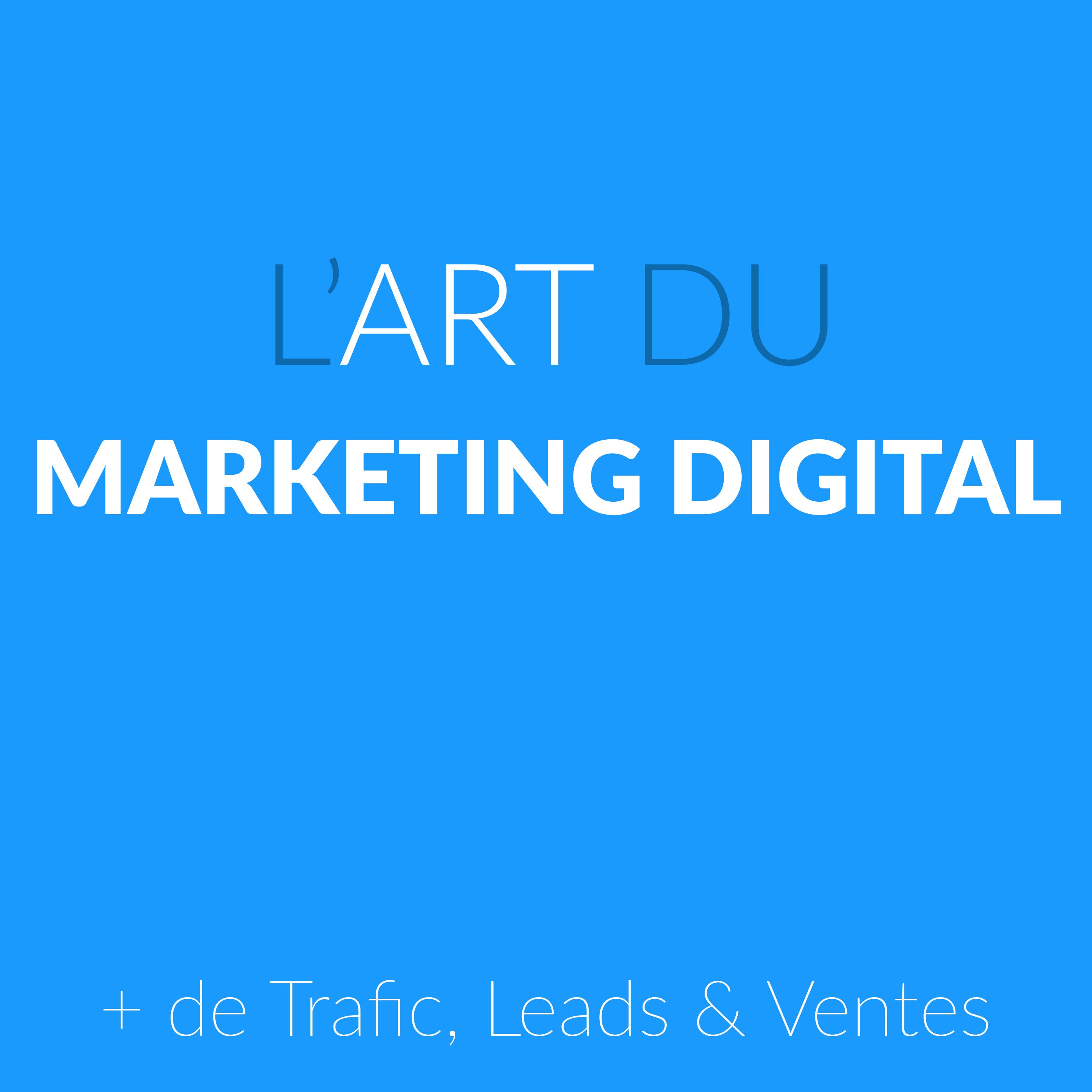 L\'Art Du Marketing Digital by Wolfeo