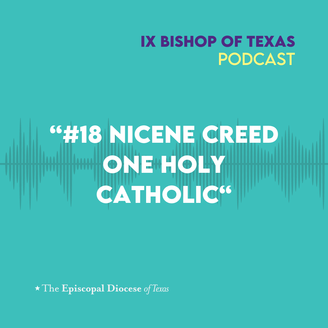 Ninth Bishop of Texas