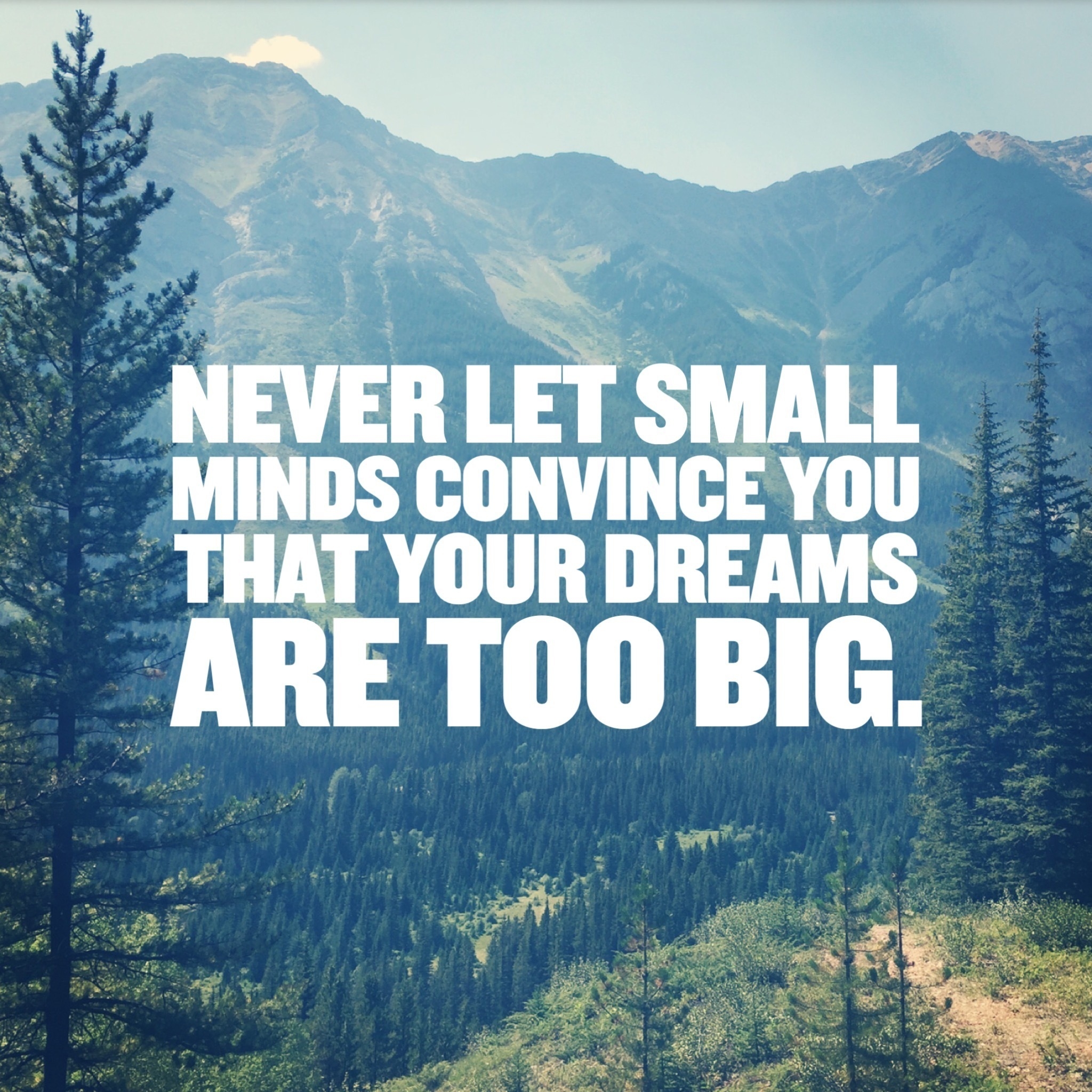 Shake Up Your Destiny