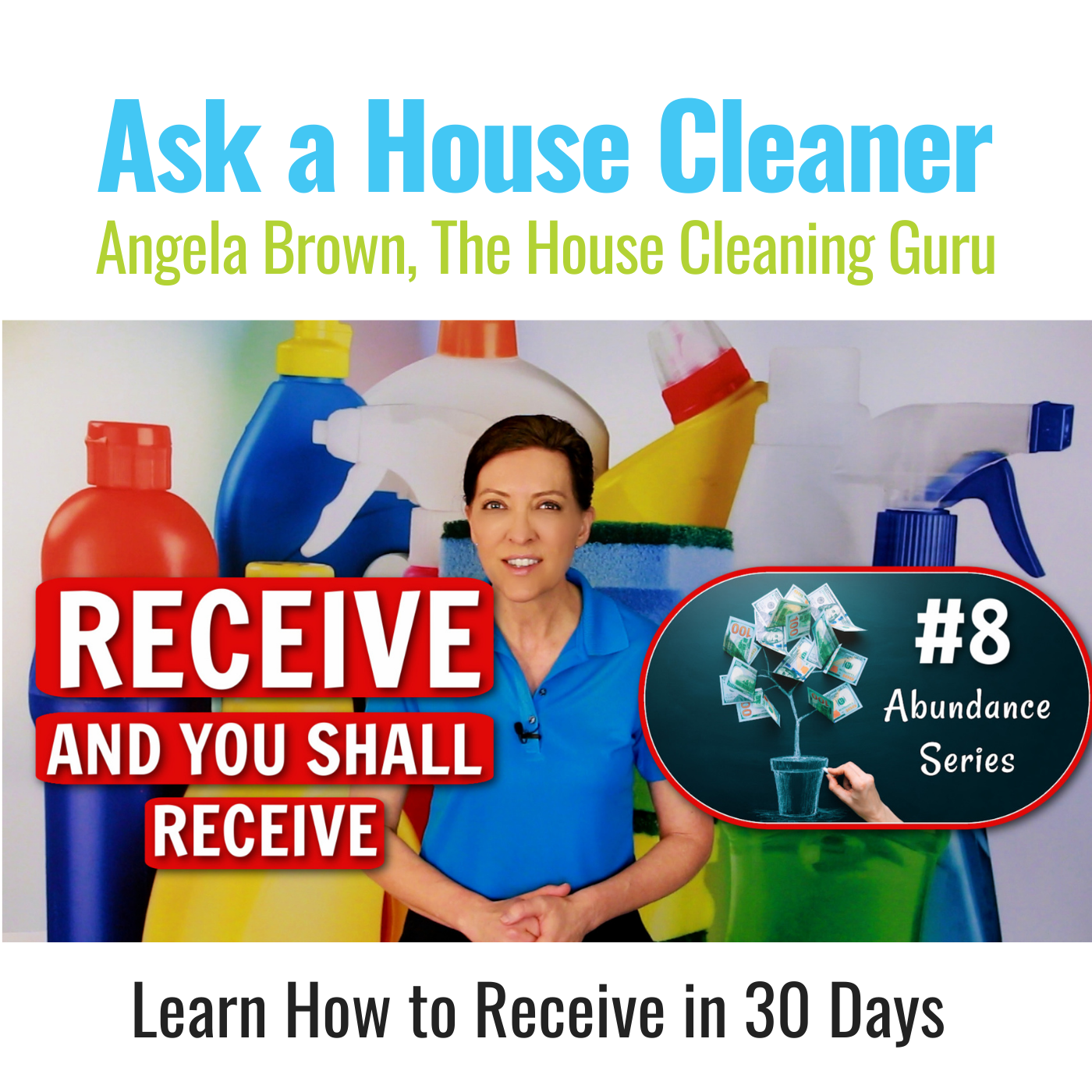 Ask a House Cleaner