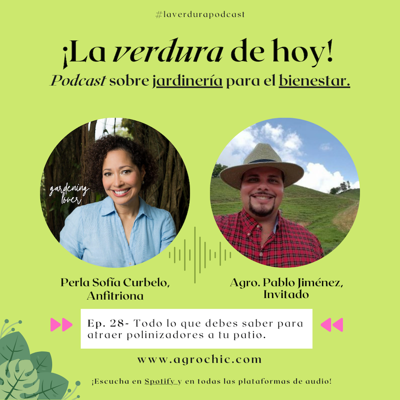 E.28 - Todo lo que debes saber para atraer polinizadores a tu patio.